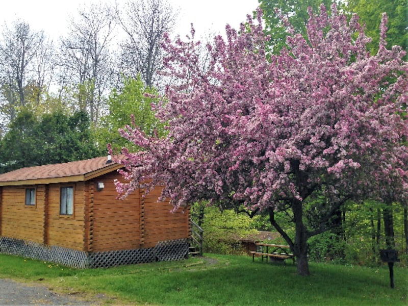 Deluxe 6 Person Cabin-1